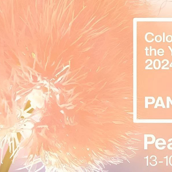 Институт цвета Pantone выбрал персиковый оттенок 13-1023 Peach Fuzz 
