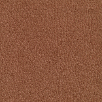 Oregon 07